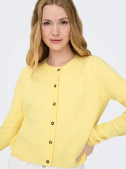 JDYCHLOE Strickjacke