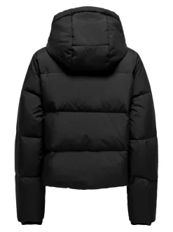 ONLALICE Jacke