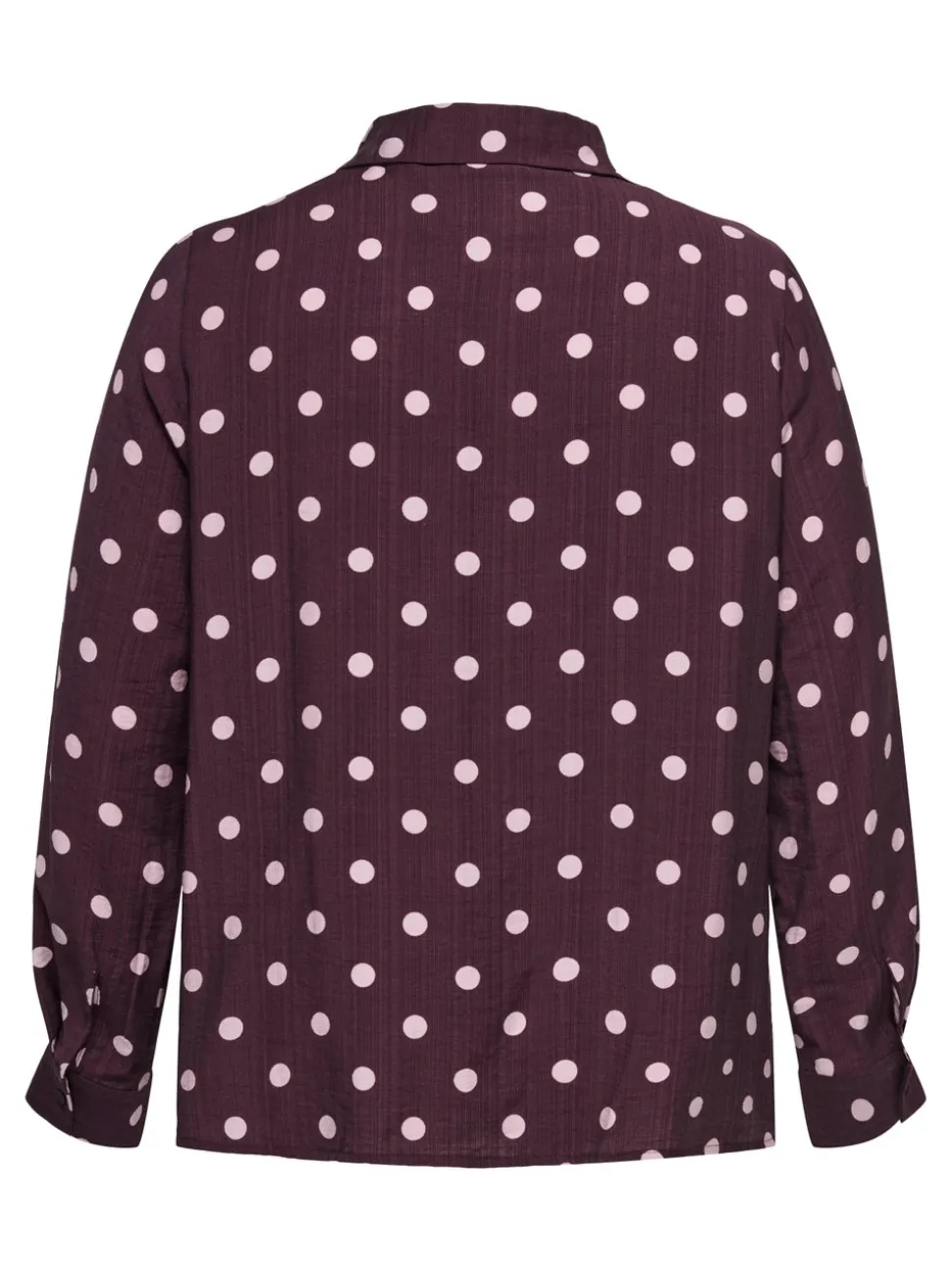 CARFANNIL Bluse