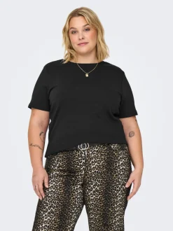 CARJEN Top