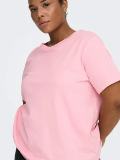 CARJEN Top