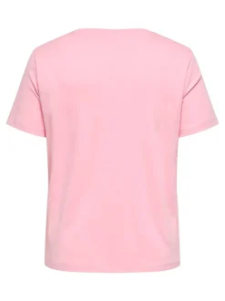 CARJEN Top