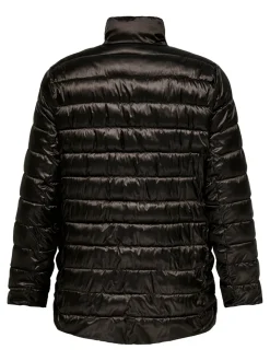 CARVEGA Steppjacke
