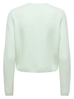 JDYCHLOE Strickjacke