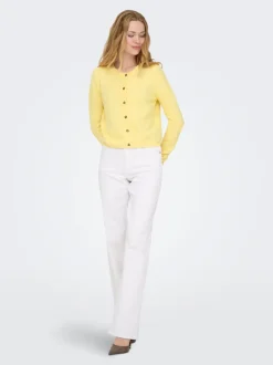 JDYCHLOE Strickjacke