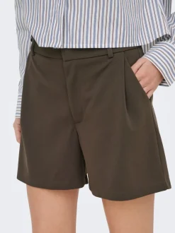 JDYGEGGO Normal geschnitten Shorts