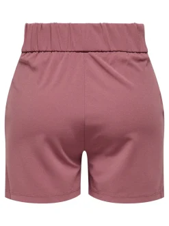 JDYGEGGO Normal geschnitten Shorts