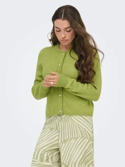 JDYLUMI Strickjacke