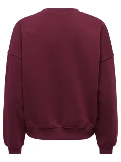 JDYMESA Sweatshirt