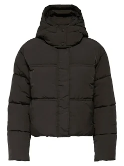 JDYNARNI Daunenjacke