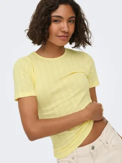 JDYSALSA Top