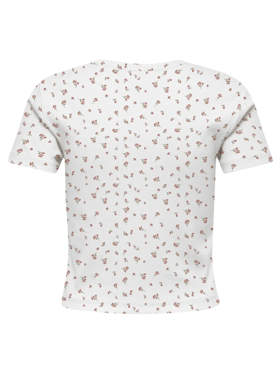 ONLFENJA T-shirt