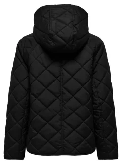 ONLSIGGA Steppjacke