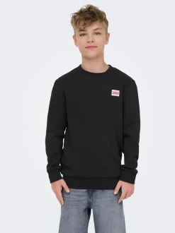 OSJCERES Sweatshirt